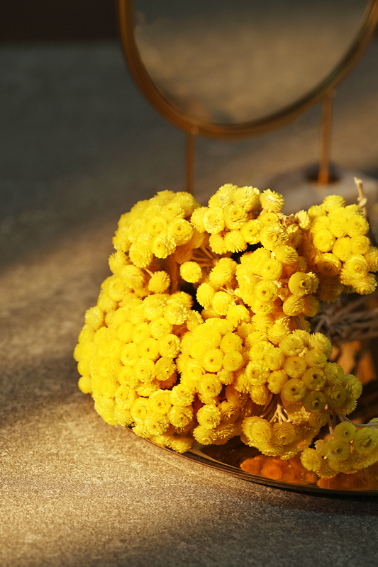 全新御龄"小金罐"丨阿芙意大利永久花御龄紧颜护肤系列全新上市_搜狐