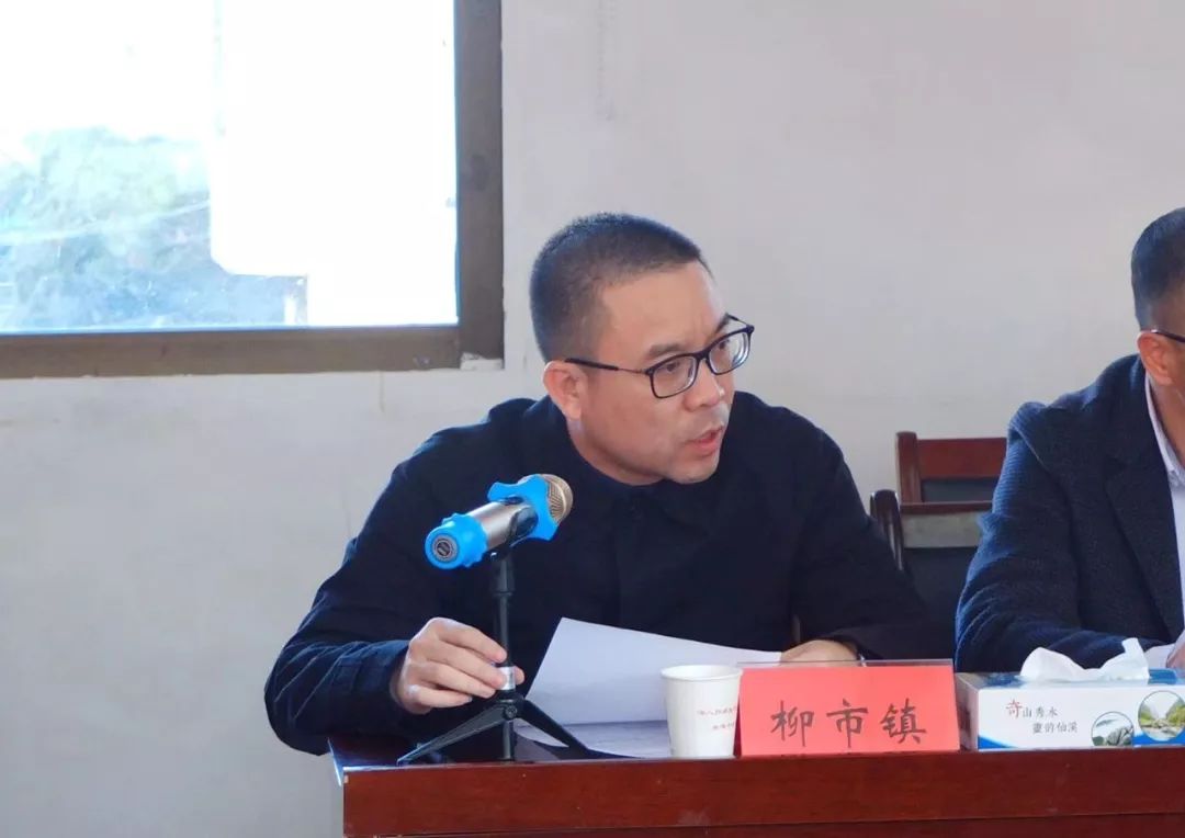 在结对帮扶座谈会上,柳市镇镇长陈鹏代表结对单位(企业)讲话.