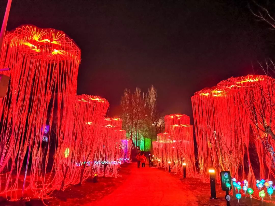 年初一盛装开幕豫见61樱桃沟秘境魔幻之旅开启沉浸式夜游体验