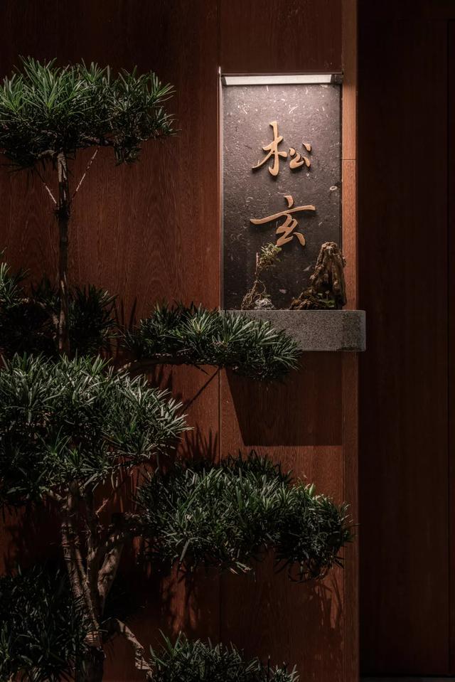 柴门荟做了28年川菜再造一个卧虎藏龙的川菜世界