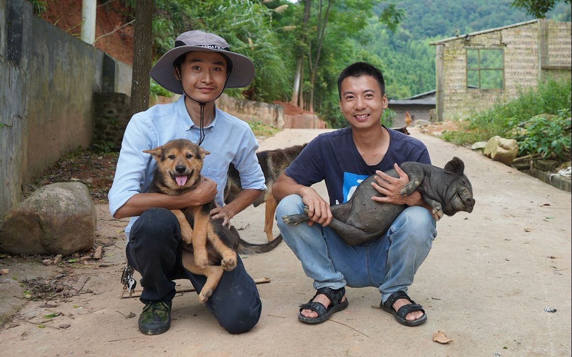 初代乡村网红华农兄弟鼠年还是想好好养竹鼠