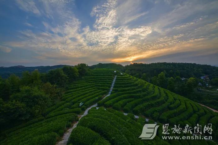 黄金洞乡麻柳溪村,忠堡镇马倌屯村,坪坝营镇张家坪村利川市:毛坝