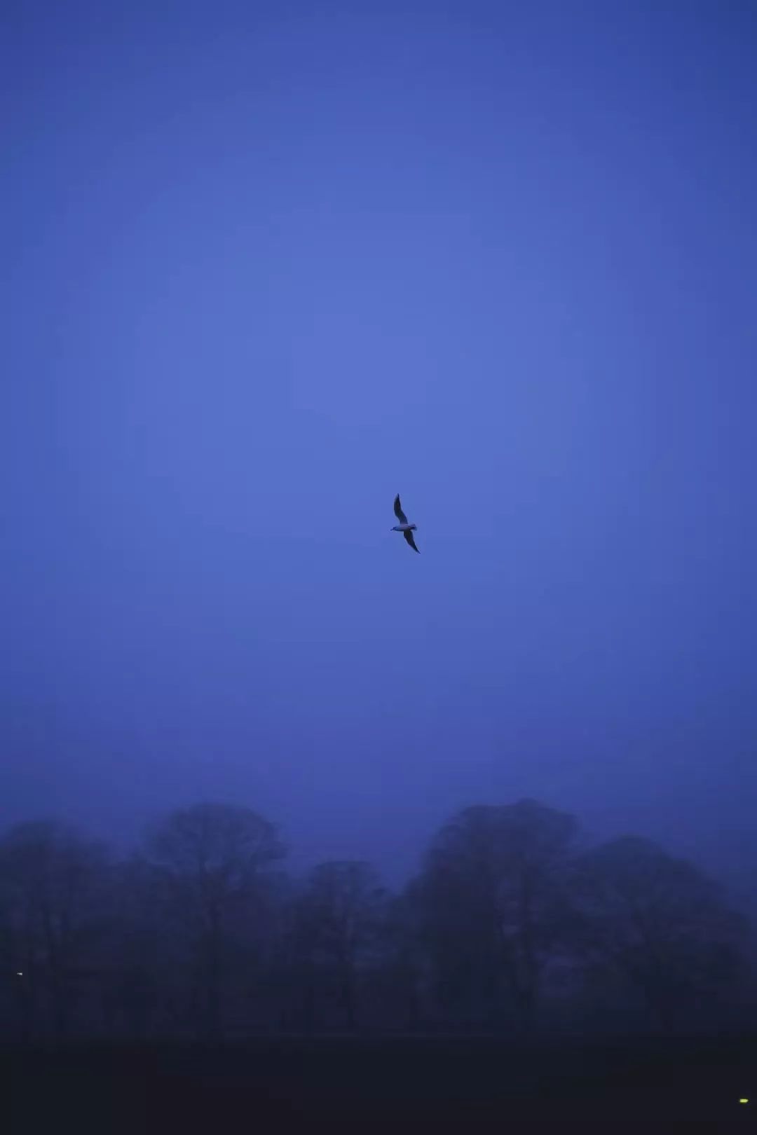 笛曲霜月夜一笛清音一縷愁心飄蕩