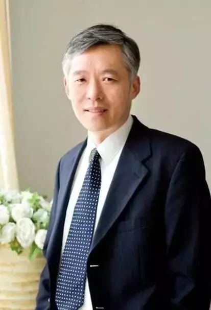 张一兵综合实在意会整体与辅助性细节波兰尼认知与存在解读