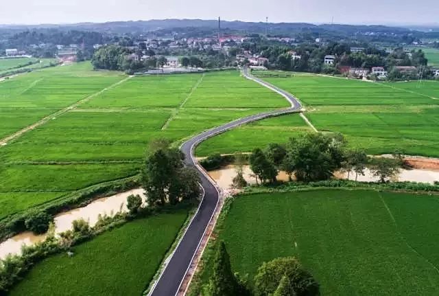 鵲山村(資料圖片)據悉,大成橋鎮立足