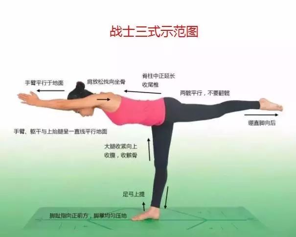 健身瑜伽的108式体位标准图专业收藏级别
