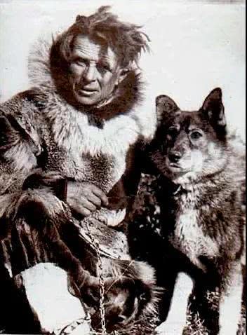 多哥这条百年前的二哈领头犬成为跋涉千里救命的英雄