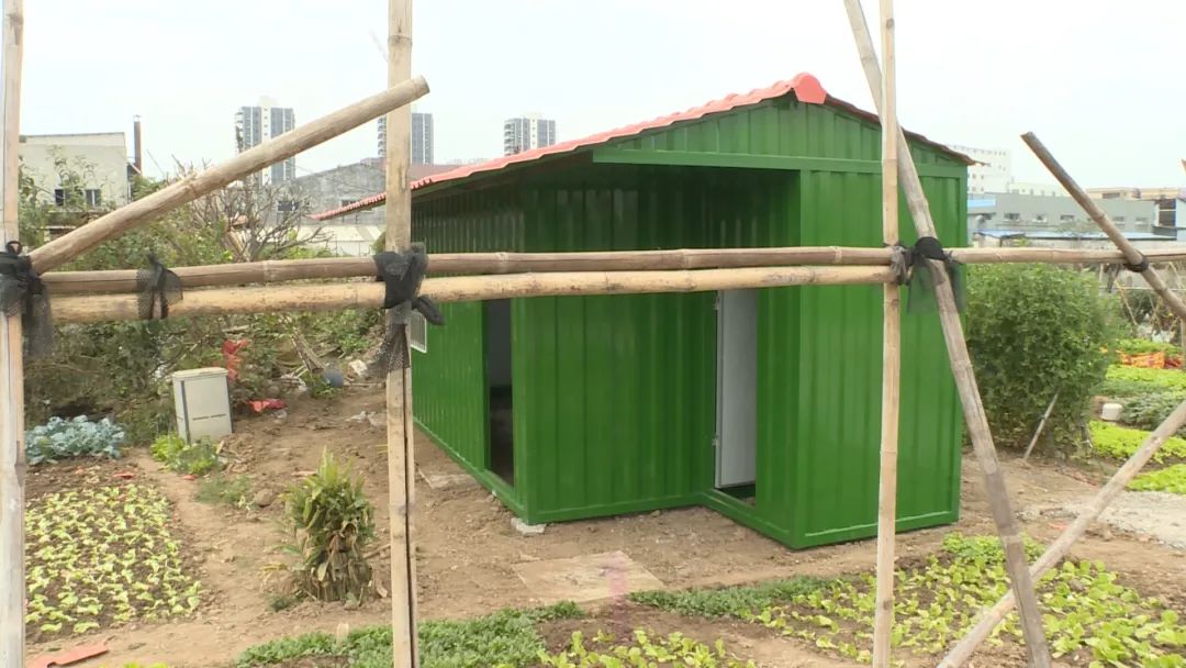 着力整治田间窝棚打造南头美丽田园