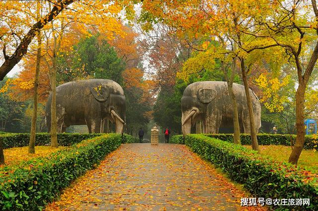 南京旅遊別總去夫子廟這5個景點更值得一去你都去過嗎