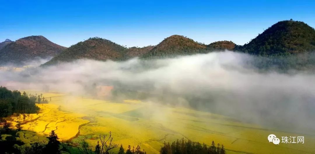 罗平钟山万亩油菜花喊你回家过年