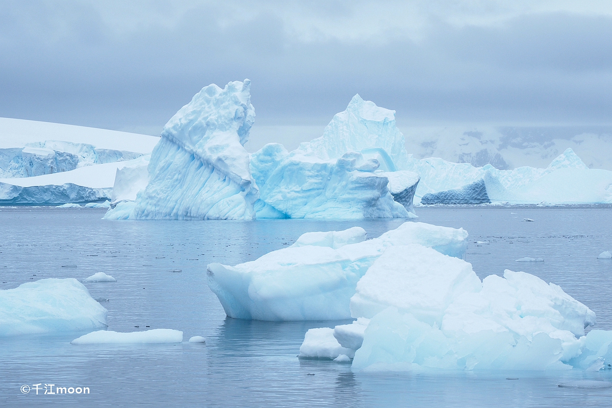 南极半岛最美登陆点