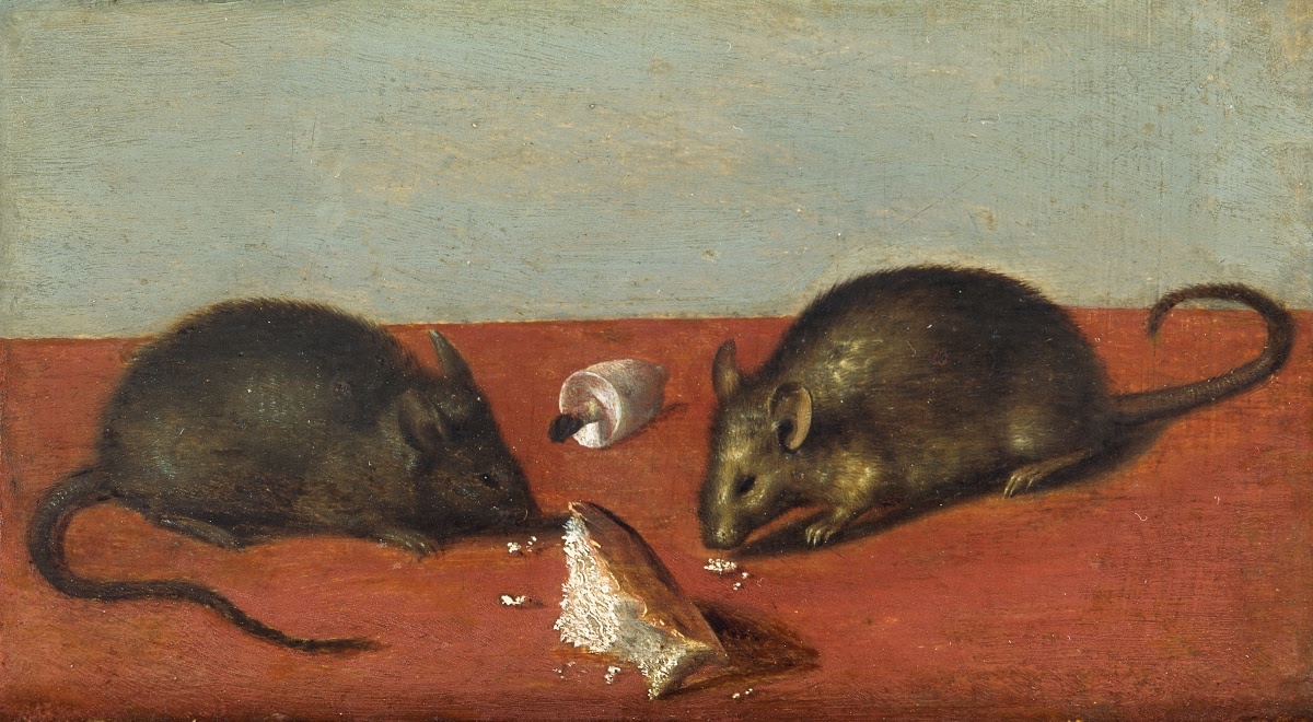 乔凡娜·加尔佐尼《陶瓷碗,配以木瓜,牵牛花,无花果,榛子和老鼠》c