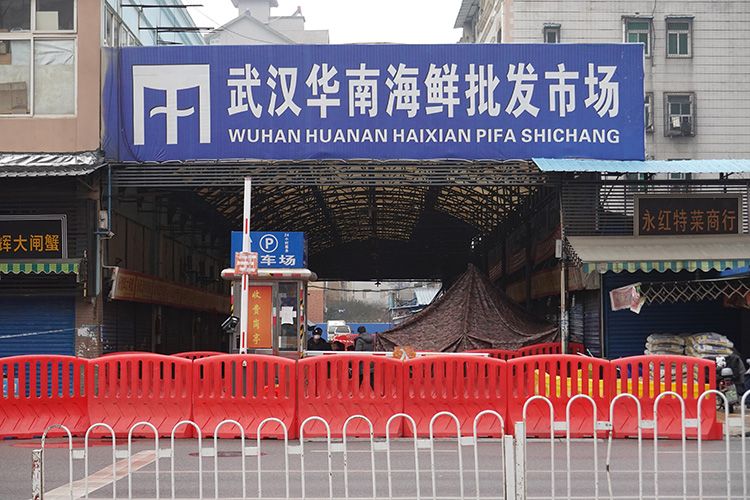 多图直击|武汉华南海鲜批发市场关停 检查防疫全面展开