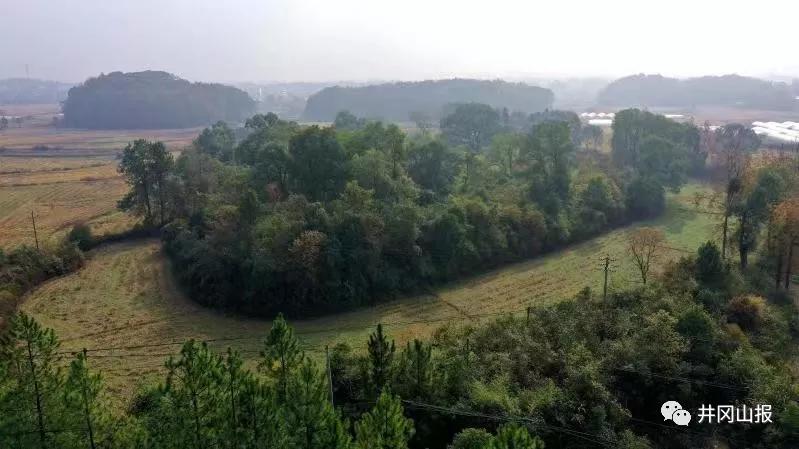 江西吉泰盆地的人类活动历史推前至距今5000年左右