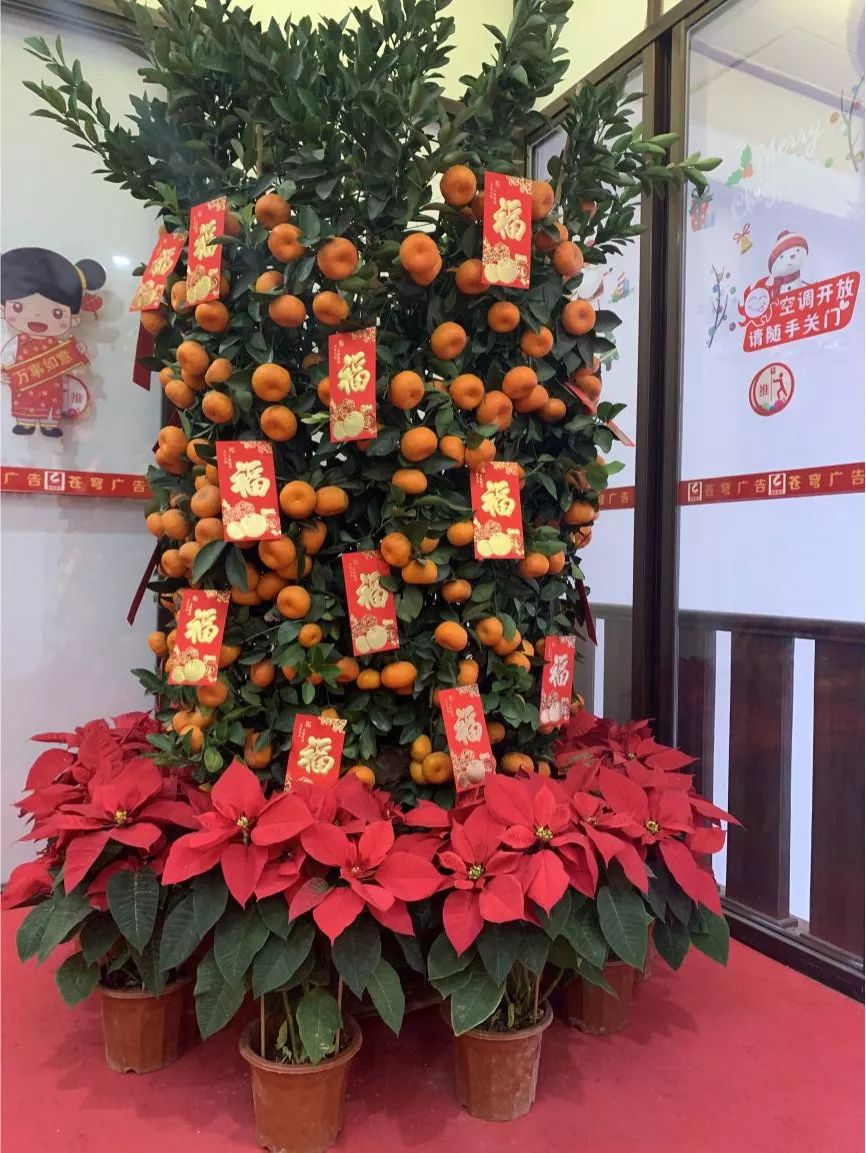 欢天喜地迎新春,苍穹公司年味浓_年桔