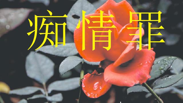 真正爱过的人都喜欢听的一首情歌痴情罪唱出了无数人的心声