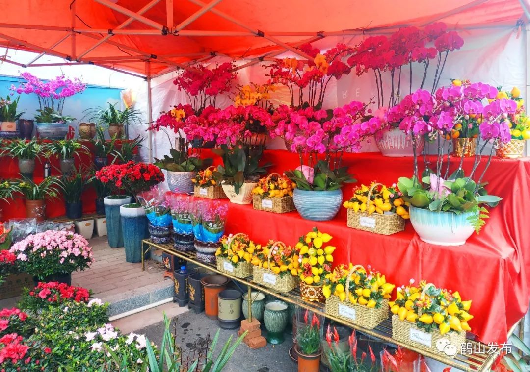 好有年味今年鹤山花市年货街你逛左未啊