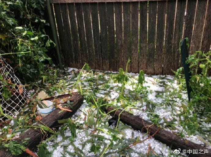 雪上加霜!澳大利亚首都堪培拉遭遇冰雹突袭