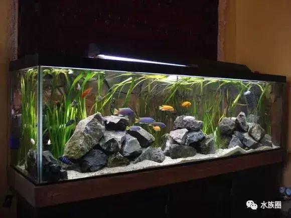 整景儿狂到看尽国内外三湖造景作品