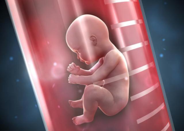 试管婴儿和普通婴儿有什么区别?寿命正常吗?智商也没区别吗?