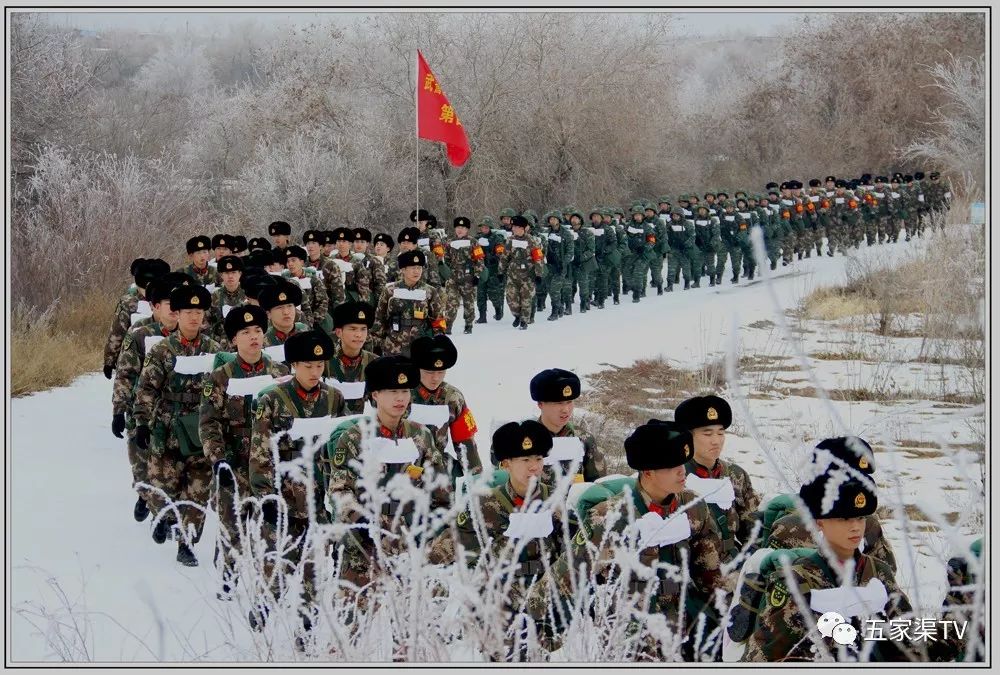 从五家渠摄影展上流出一组照片张张惊艳