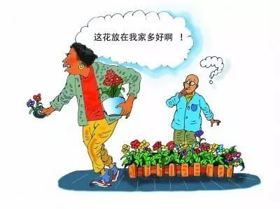 手真长岱山公众场所惊现盗花贼