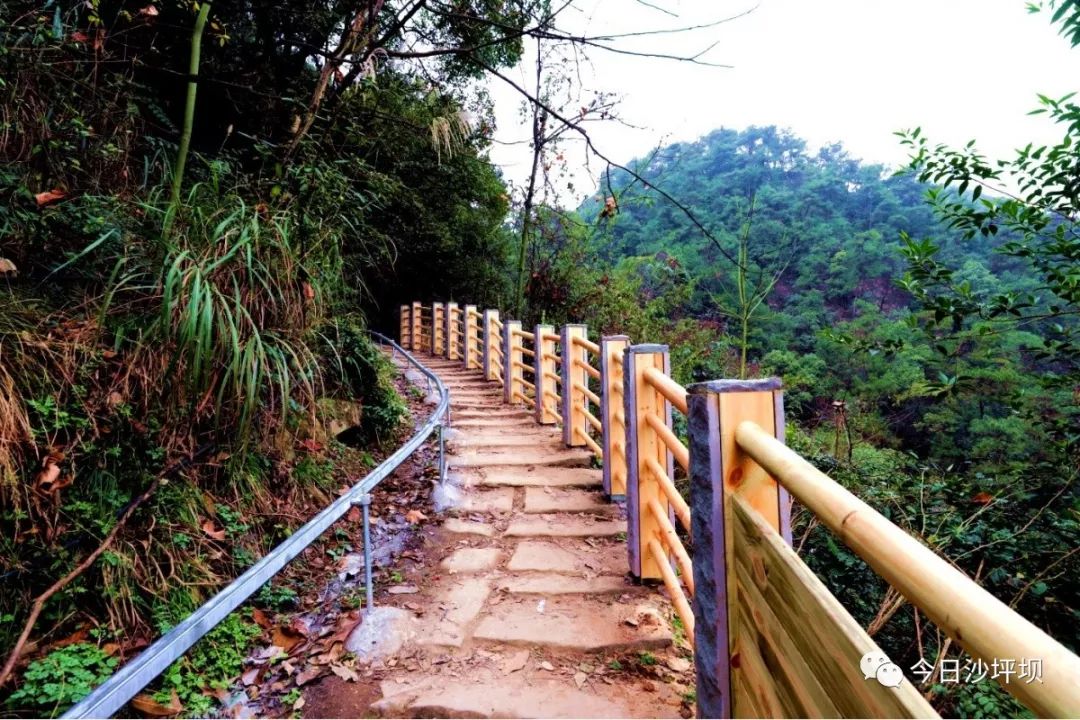 歌乐山登山步道图片