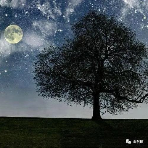 诗歌徐弘飞总有天空飞入我身体某处组诗