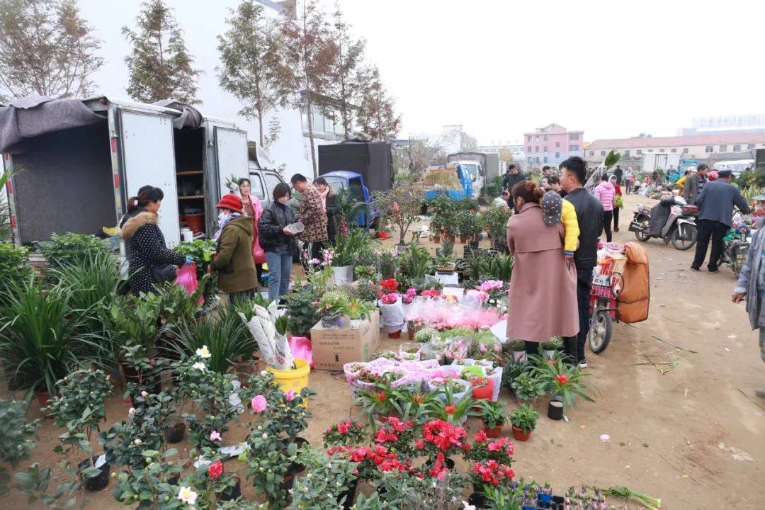 我们的节日丨有一种味道叫岚山年味巨峰盛大开筵