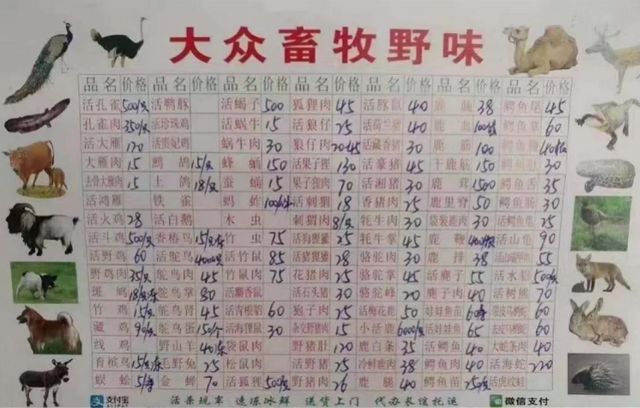 武汉海鲜市场野味菜单：活响尾蛇和獾 活杀现宰竹鼠、果子狸