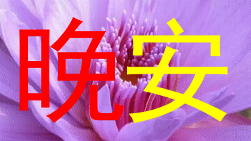 兑现不了的承诺,不如不给;无法善待的人,不如不爱,晚安