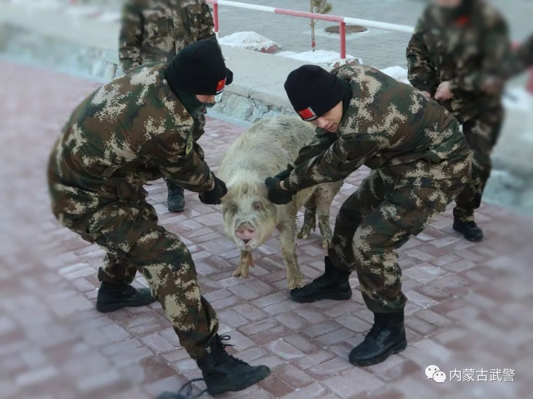 所谓"去吊肉"就是去买肉,去杀猪的意思.