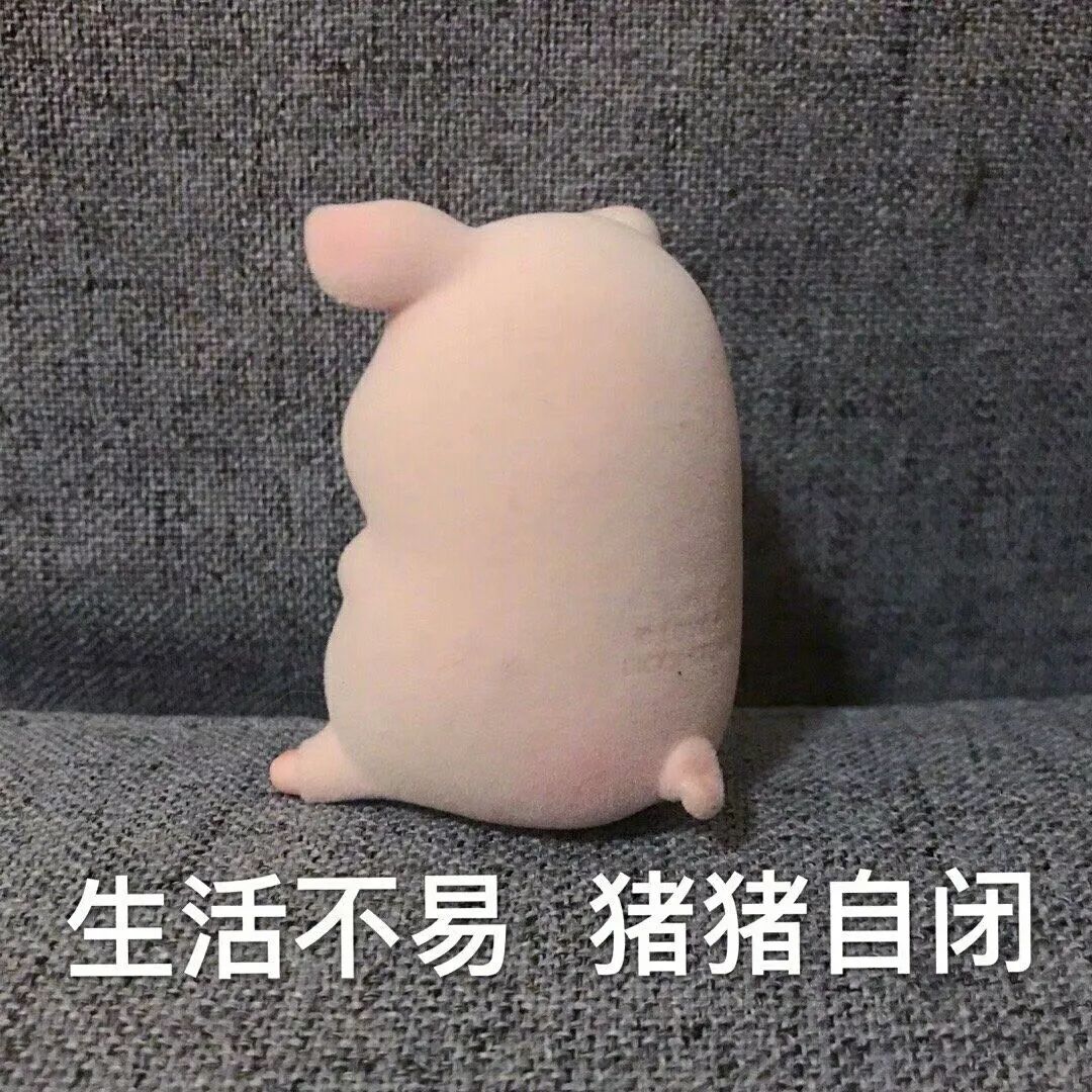 朋友圈文案配图表情包可爱的猪猪女孩