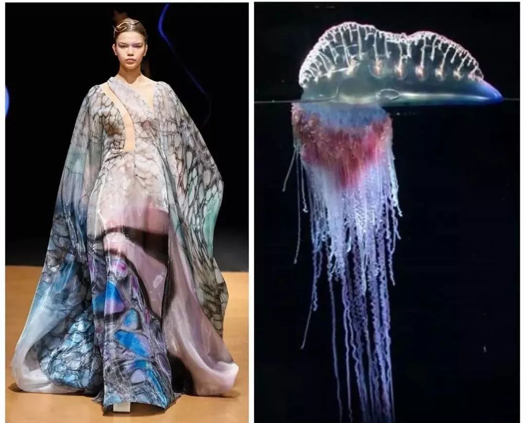羽毛,化石,鳍气泡,声波都被化作服装的元素应用在服装的设计之中iris