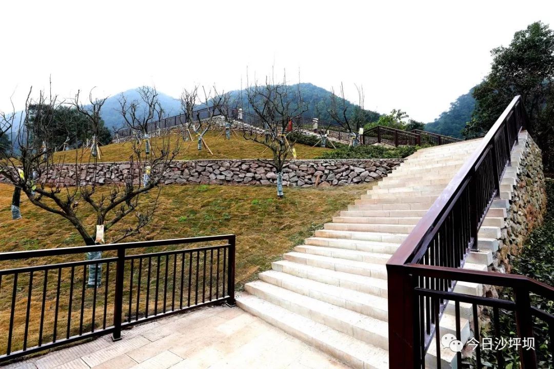 人生路,石梯子山城步道作为歌乐山步道"一主四支"结构体系中的两条