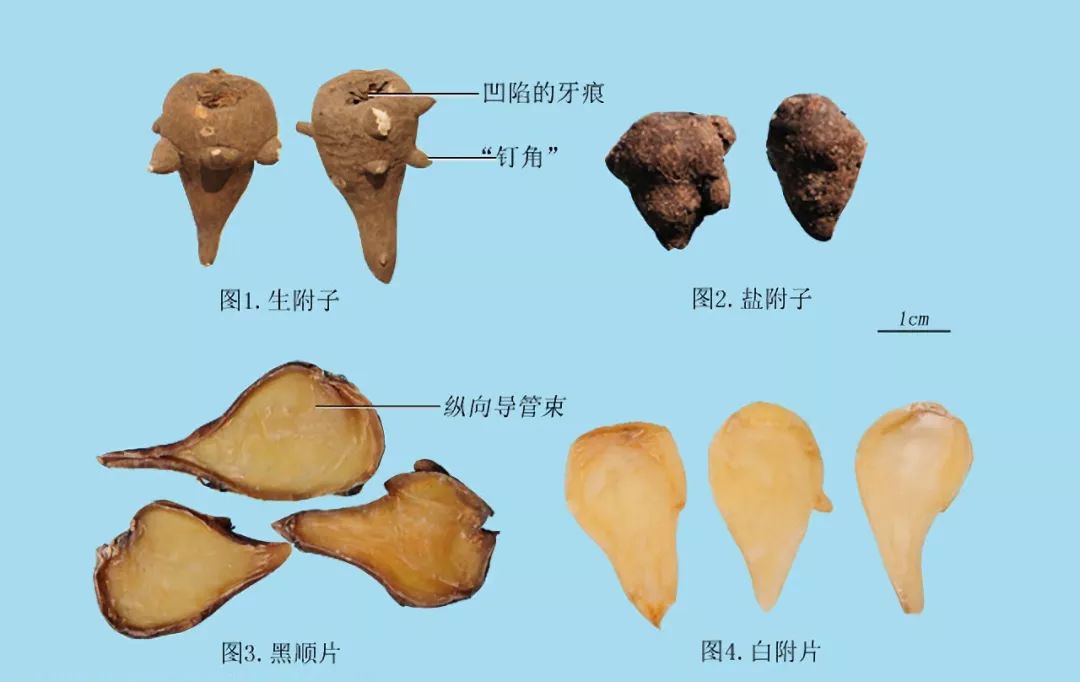 清风典历 | 视其所以,观其所由,察其所安