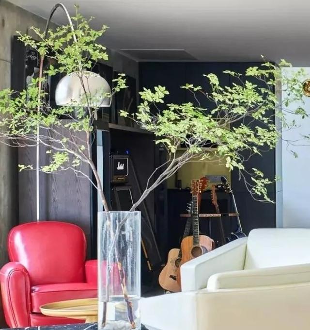 原创杨坤家客厅150㎡花2年挑家具把艺术馆搬进了自己家