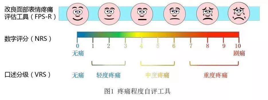 肿瘤患者疼痛常规评估需在多长时间内完成中华护理团体标准解读成人癌