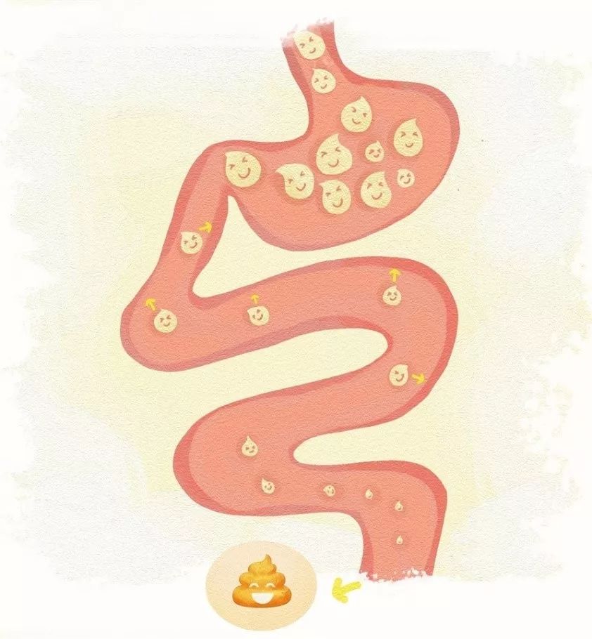 到底是虚胖还是strong?_脂肪