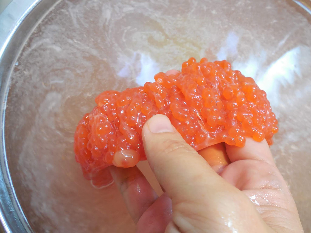 爱吃鱼籽的人要留意了我也是今天才刚知道抓紧告诉身边人