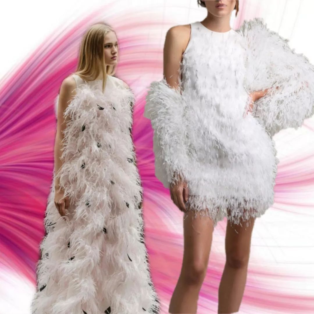 2020-2021服装流行趋势素材/羽毛_装饰