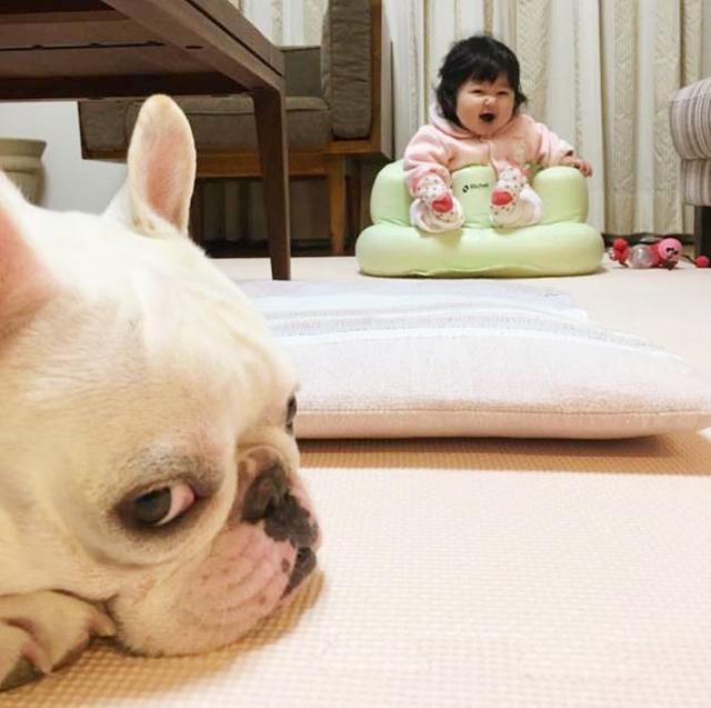 喝母乳宝宝胖成"米其林"?产生这种情况的原因,看完笑不出来