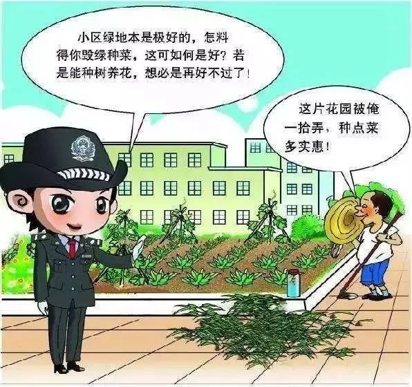 高压走廊下岂容毁绿种菜