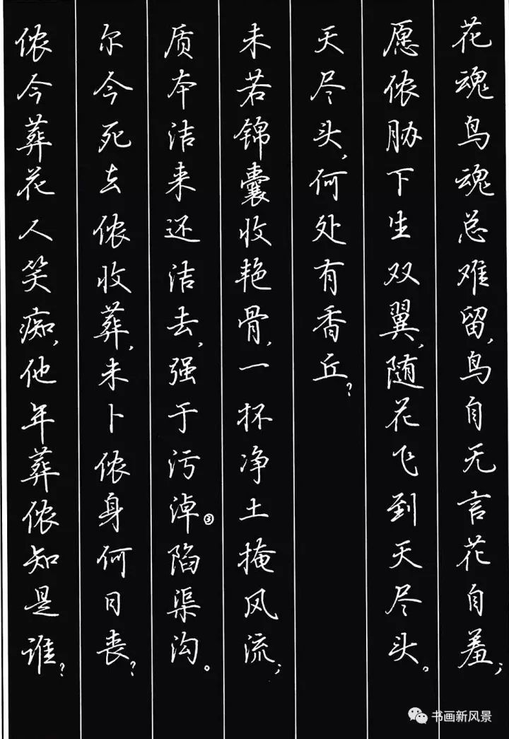 绝美硬笔书法林黛玉葬花辞