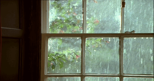 秋雨打窗图片图片