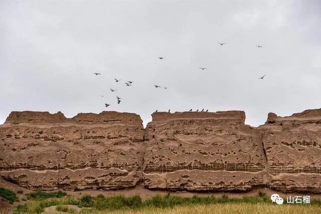 诗歌徐弘飞总有天空飞入我身体某处组诗