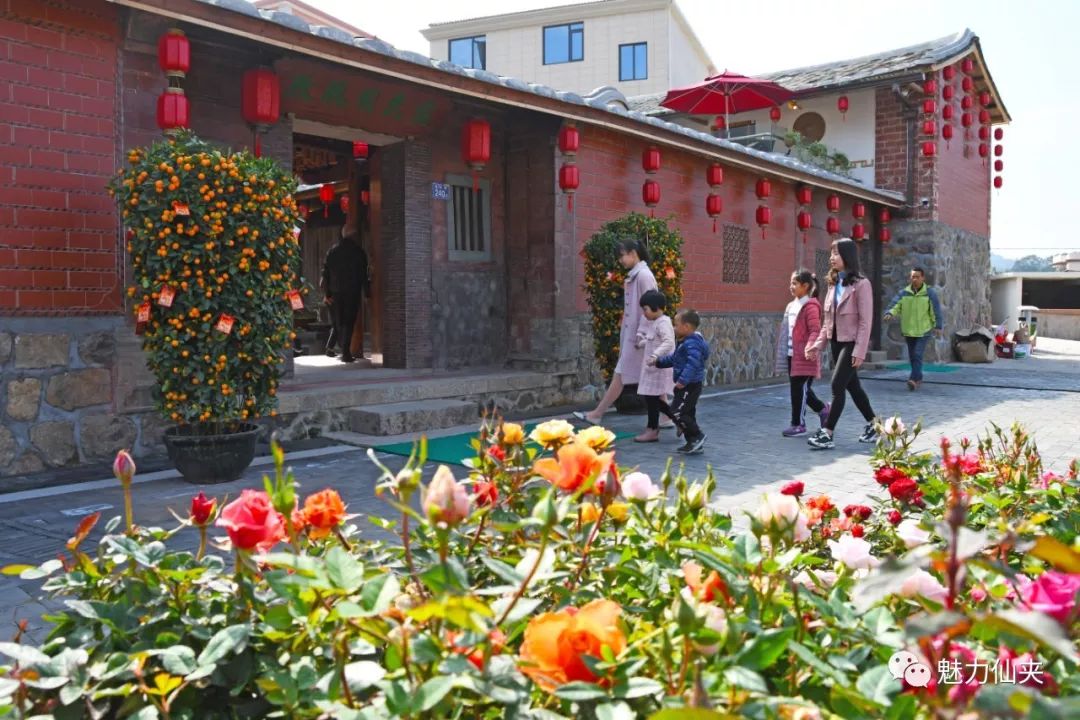 永春仙夹镇龙水村玫瑰园民宿对外开放