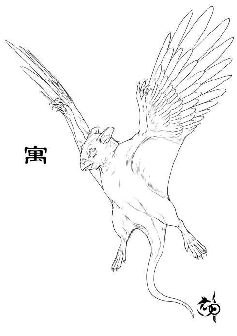 有兽焉,其状如兔而鼠首,以其背飞,其名曰飞鼠.