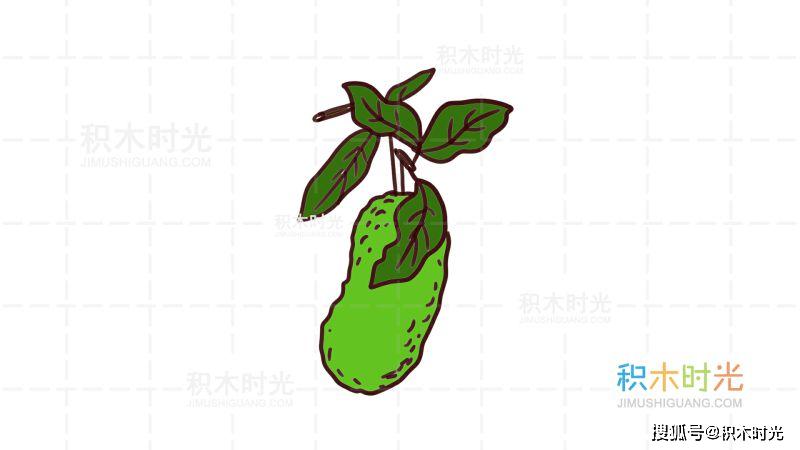 菠萝蜜简笔画 简单图片