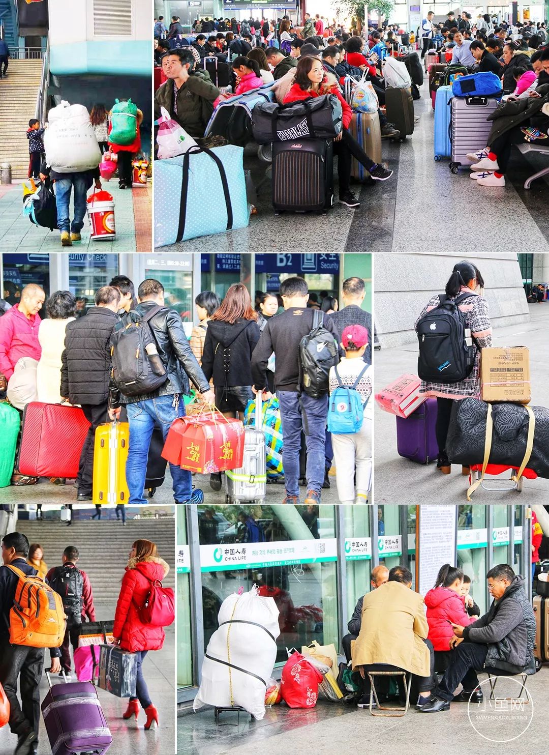 厦门火车站春运照火遍朋友圈30万人泪奔行李箱里装的都是沉甸甸的爱